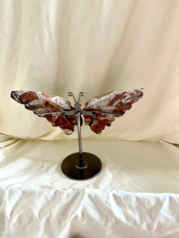 Mexican Lace Agate Butterfly with Stand