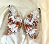 Mexican Lace Agate Butterfly with Stand