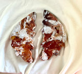 Mexican Lace Agate Butterfly with Stand