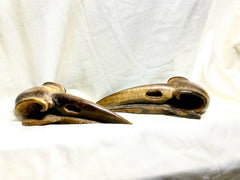 Tiger Eye Raven Skull - 3 Inches