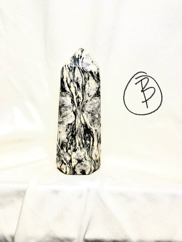 Zebra Jasper Medium Points